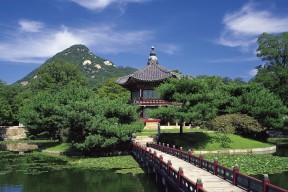 世界攀岩赛事夜间安保与观众引导优化方案，攀岩事故视频